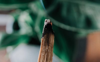 Palo Santo