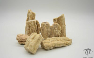 Sal resin